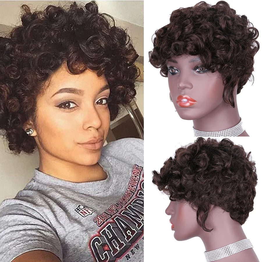 Short Human Hair Wigs Pixie Cut For Black Women Remy Curly Brazilian Summer Brown Wig Human Hair Glueless Full Machine Made Wigs